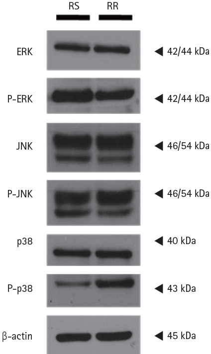 kjim-2023-134f4.jpg